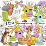 Kit « Souffle printanier » - 02 - US - Les embellissements 1