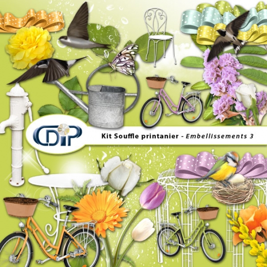 Kit « Souffle printanier » - 04 - Les embellissements 3