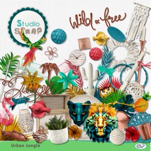 kit-urban-jungle-embellissements