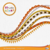 kit-zeste-d-orange-presentation-ligne-artistique-web