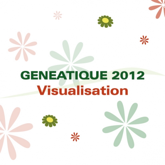 G2012 Visualisation - 00 - Présentation