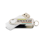 Clé USB 4 Go Généatique 2017