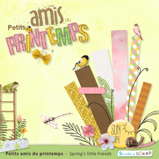 Kit Petits amis du printemps