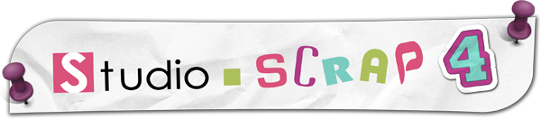 SS4 - 02 - Logo