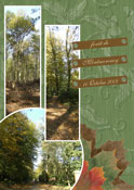 Forêt de Montmorency